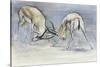 Sand Gazelles, 2009-Mark Adlington-Stretched Canvas