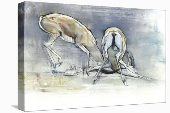Sand Gazelles, 2009-Mark Adlington-Stretched Canvas
