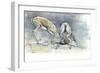 Sand Gazelles, 2009-Mark Adlington-Framed Giclee Print