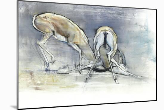 Sand Gazelles, 2009-Mark Adlington-Mounted Giclee Print