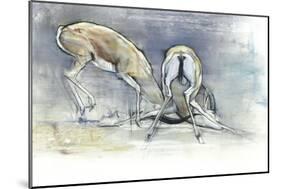 Sand Gazelles, 2009-Mark Adlington-Mounted Giclee Print
