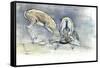 Sand Gazelles, 2009-Mark Adlington-Framed Stretched Canvas