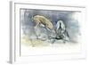 Sand Gazelles, 2009-Mark Adlington-Framed Giclee Print