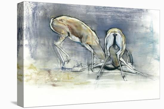 Sand Gazelles, 2009-Mark Adlington-Stretched Canvas