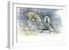 Sand Gazelles, 2009-Mark Adlington-Framed Giclee Print