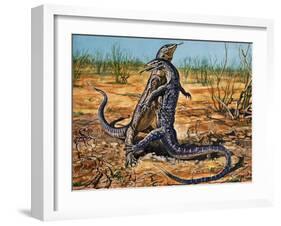 Sand Goanna or Gould's Monitor (Varanus Gouldii), Varanidae-null-Framed Giclee Print