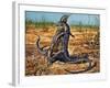 Sand Goanna or Gould's Monitor (Varanus Gouldii), Varanidae-null-Framed Giclee Print