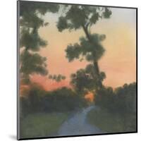 Sand Hill Sunset I-Elissa Gore-Mounted Art Print