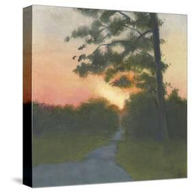 Sand Hill Sunset II-Elissa Gore-Stretched Canvas