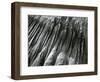 Sand, Oregon, 1967-Brett Weston-Framed Photographic Print