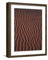 Sand Patterns near Hermanus Beach, South Africa-Stuart Westmorland-Framed Photographic Print