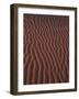 Sand Patterns near Hermanus Beach, South Africa-Stuart Westmorland-Framed Photographic Print