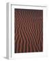 Sand Patterns near Hermanus Beach, South Africa-Stuart Westmorland-Framed Photographic Print