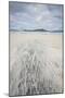 Sand Patterns on Luskentyre Beach, Isle of Harris, Outer Hebrides, Scotland-Stewart Smith-Mounted Photographic Print