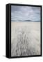 Sand Patterns on Luskentyre Beach, Isle of Harris, Outer Hebrides, Scotland-Stewart Smith-Framed Stretched Canvas