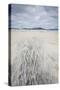 Sand Patterns on Luskentyre Beach, Isle of Harris, Outer Hebrides, Scotland-Stewart Smith-Stretched Canvas