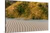 Sand Patterns on the Beach at Cape Blanco State Park, Oregon, USA-Chuck Haney-Stretched Canvas
