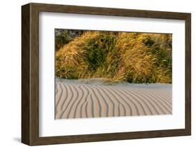 Sand Patterns on the Beach at Cape Blanco State Park, Oregon, USA-Chuck Haney-Framed Photographic Print