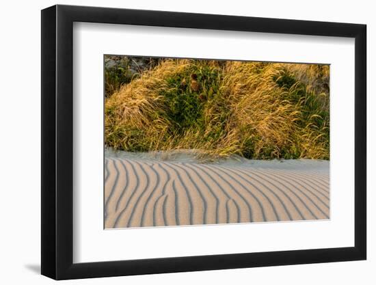 Sand Patterns on the Beach at Cape Blanco State Park, Oregon, USA-Chuck Haney-Framed Photographic Print