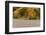 Sand Patterns on the Beach at Cape Blanco State Park, Oregon, USA-Chuck Haney-Framed Photographic Print