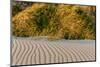 Sand Patterns on the Beach at Cape Blanco State Park, Oregon, USA-Chuck Haney-Mounted Photographic Print