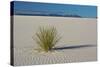 Sand Patterns, Yucca, White Sands Nm, Alamogordo, New Mexico-Michel Hersen-Stretched Canvas