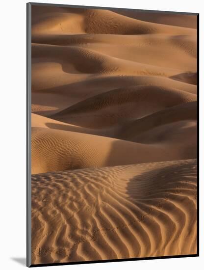 Sand Prints-Art Wolfe-Mounted Photographic Print