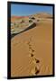 Sand ripple patterns in the desert of Sossusvlei, Namibia with tracks of an Oryx-Darrell Gulin-Framed Photographic Print