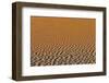 Sand ripple patterns in the desert of Sossusvlei, Namibia-Darrell Gulin-Framed Photographic Print
