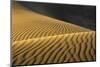 Sand Ripples, Mesquite Flat Dunes, Death Valley, California, USA-Michel Hersen-Mounted Photographic Print