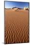 Sand Ripples on One of the Ancient Orange Dunes of the Namib Desert at Sossusvlei-Lee Frost-Mounted Photographic Print