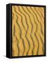 Sand Ripples, Queensland, Australia-David Wall-Framed Stretched Canvas