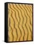 Sand Ripples, Queensland, Australia-David Wall-Framed Stretched Canvas