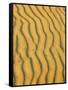 Sand Ripples, Queensland, Australia-David Wall-Framed Stretched Canvas