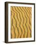 Sand Ripples, Queensland, Australia-David Wall-Framed Photographic Print