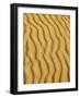 Sand Ripples, Queensland, Australia-David Wall-Framed Photographic Print