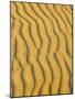 Sand Ripples, Queensland, Australia-David Wall-Mounted Photographic Print