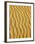 Sand Ripples, Queensland, Australia-David Wall-Framed Photographic Print