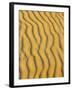 Sand Ripples, Queensland, Australia-David Wall-Framed Photographic Print