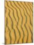 Sand Ripples, Queensland, Australia-David Wall-Mounted Photographic Print