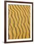 Sand Ripples, Queensland, Australia-David Wall-Framed Photographic Print