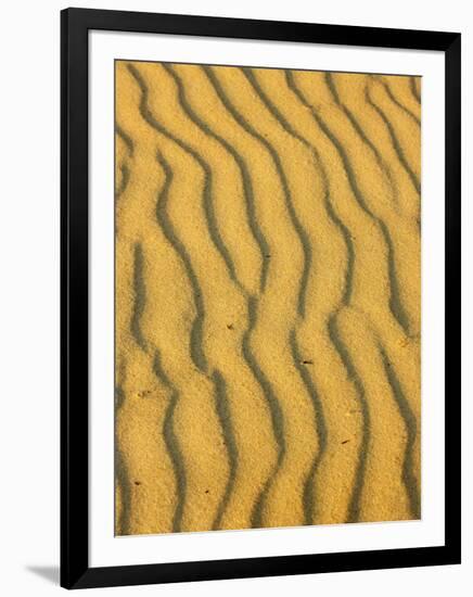 Sand Ripples, Queensland, Australia-David Wall-Framed Photographic Print