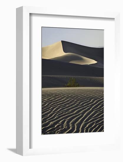 Sand Sculpture, Death Valley-Steve Gadomski-Framed Photographic Print