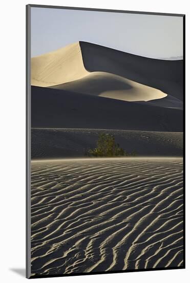 Sand Sculpture, Death Valley-Steve Gadomski-Mounted Photographic Print