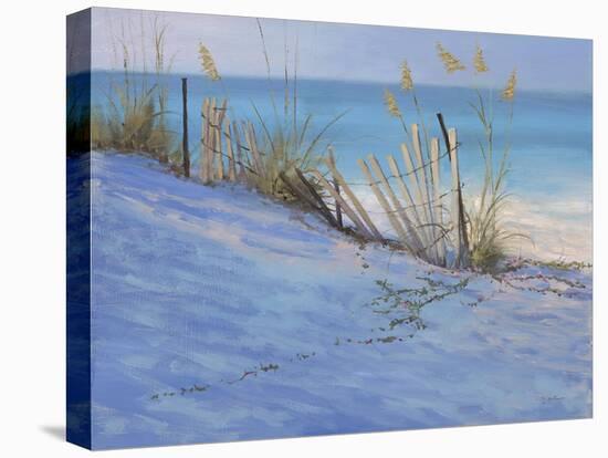 Sand & Sea View-Jill Schultz McGannon-Stretched Canvas