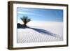 Sand Shadows I-Douglas Taylor-Framed Photographic Print