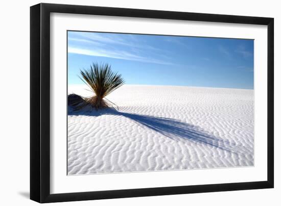 Sand Shadows I-Douglas Taylor-Framed Photographic Print