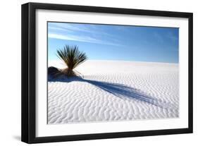 Sand Shadows I-Douglas Taylor-Framed Photographic Print