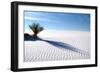 Sand Shadows I-Douglas Taylor-Framed Photographic Print