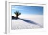 Sand Shadows I-Douglas Taylor-Framed Photographic Print